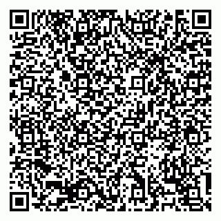 vCard 79138303485