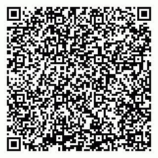 vCard 79138303487