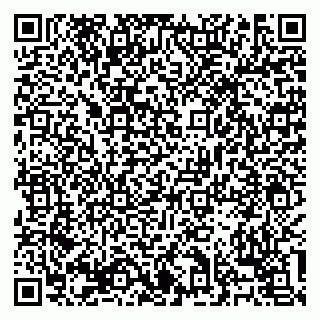 vCard 79138303488