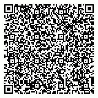 vCard 79138303489