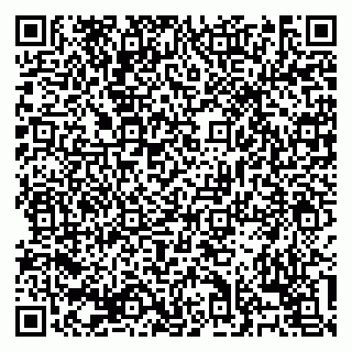 vCard 79138303491
