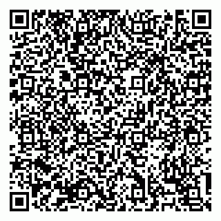 vCard 79138303492
