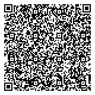 vCard 79138303493
