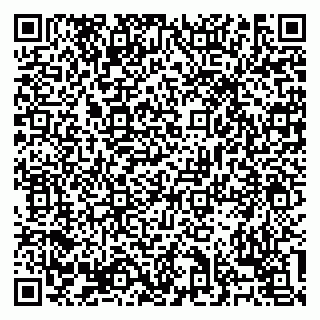 vCard 79138303494