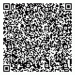 vCard 79138303495