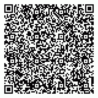 vCard 79138303496