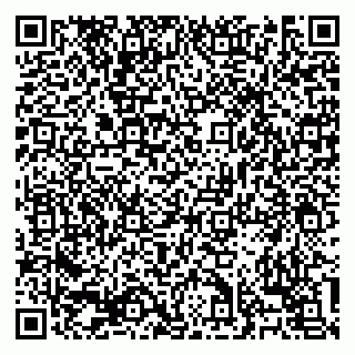 vCard 79138303497