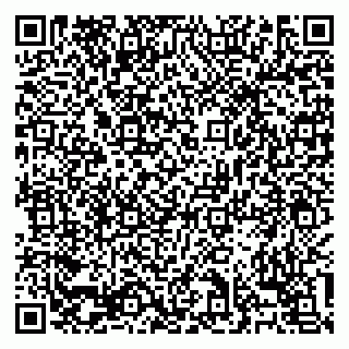 vCard 79138303498