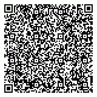 vCard 79138303499