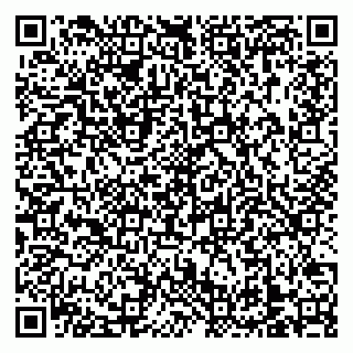 vCard 79138303500