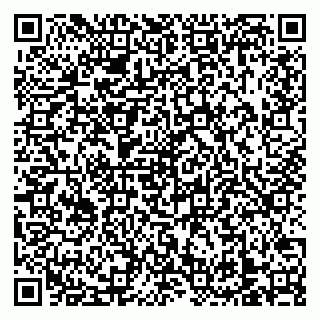 vCard 79138303501