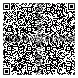 vCard 79138303503