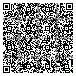 vCard 79138303504