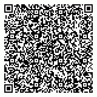 vCard 79138303505