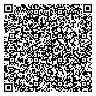 vCard 79138303506