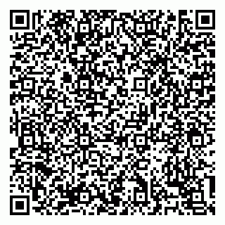 vCard 79138303507