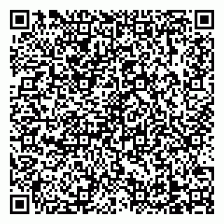 vCard 79138303508