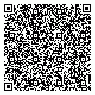 vCard 79138303509