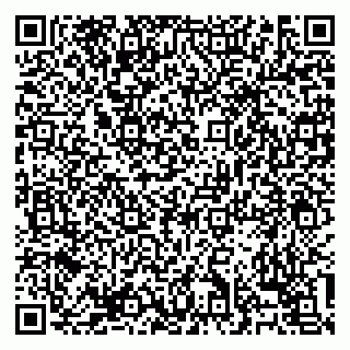vCard 79138303510