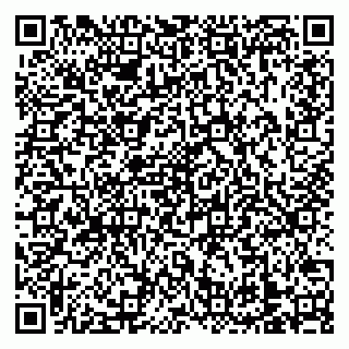 vCard 79138303511