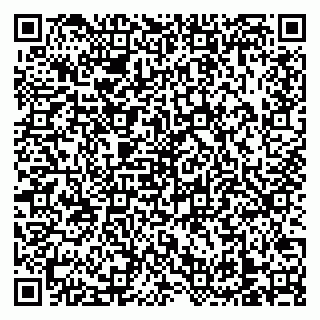 vCard 79138303513