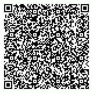 vCard 79138303514