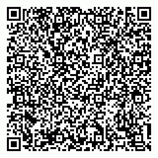 vCard 79138303515