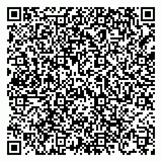 vCard 79138303516