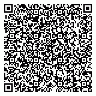 vCard 79138303517