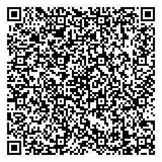 vCard 79138303518