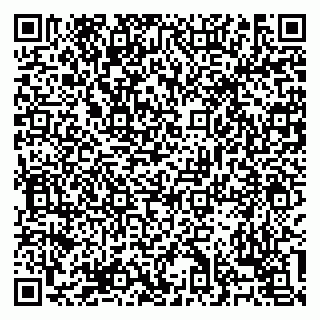 vCard 79138303519