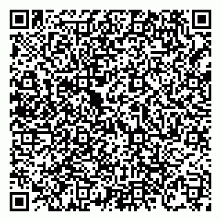 vCard 79138303522
