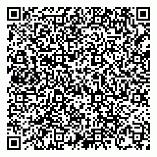 vCard 79138303524