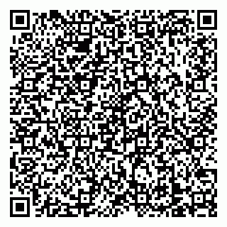vCard 79138303527