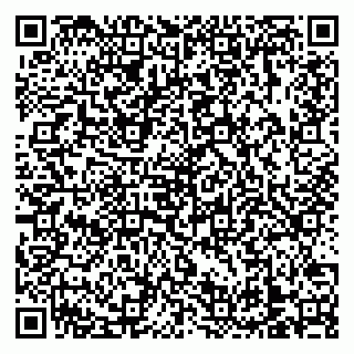 vCard 79138303528