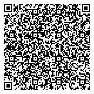 vCard 79138303529