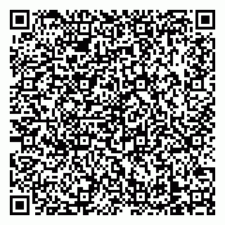 vCard 79138303531