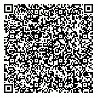 vCard 79138303532