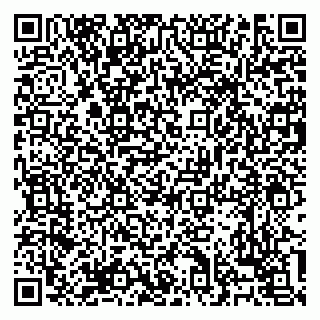 vCard 79138303533