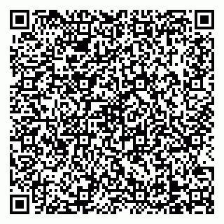 vCard 79138303534