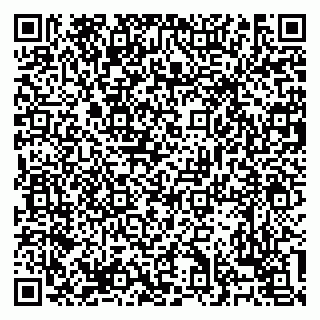 vCard 79138303535