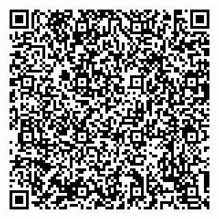 vCard 79138303536