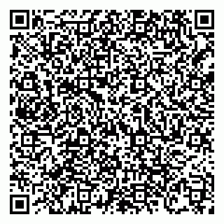 vCard 79138303540