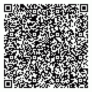 vCard 79138303541