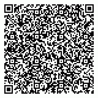 vCard 79138303542