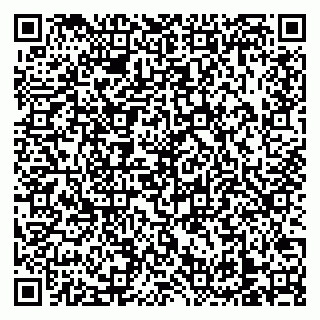 vCard 79138303543