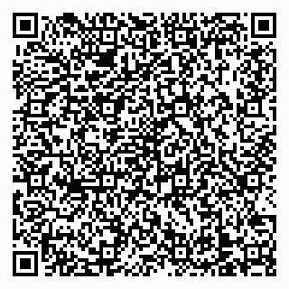 vCard 79138303544