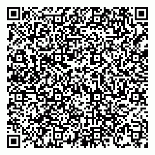 vCard 79138303547