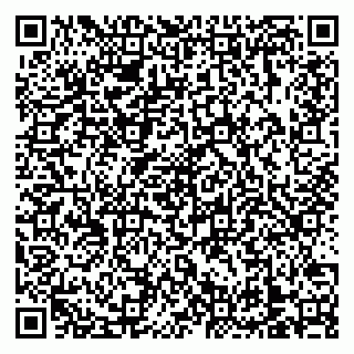 vCard 79138303548