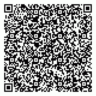 vCard 79138303552